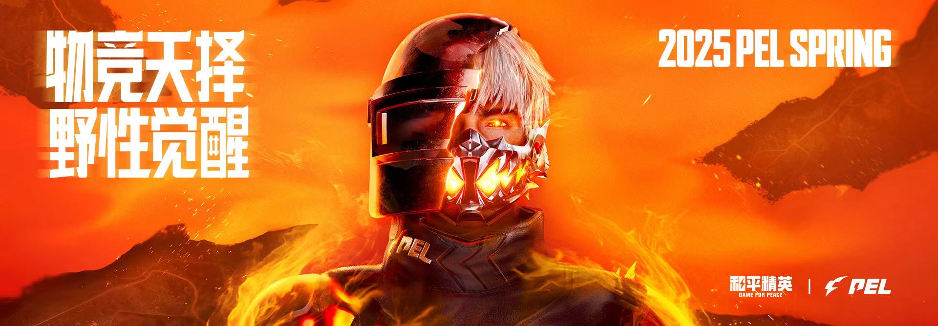 和平精英「雪花」直装辅助